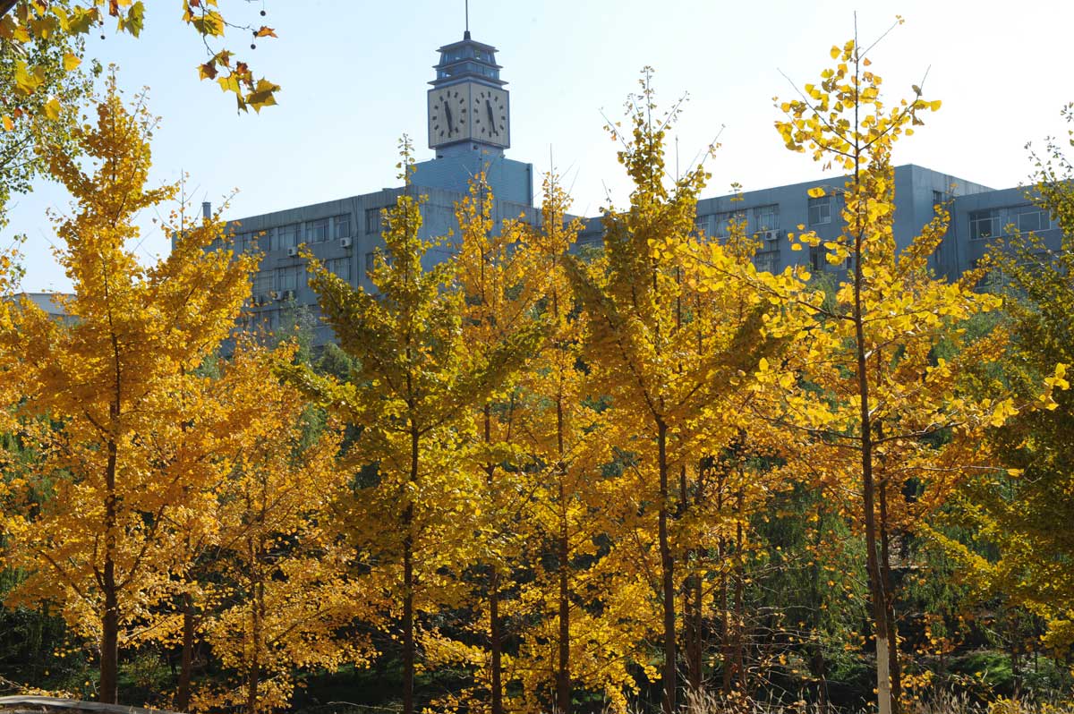 Autumn Campus 2